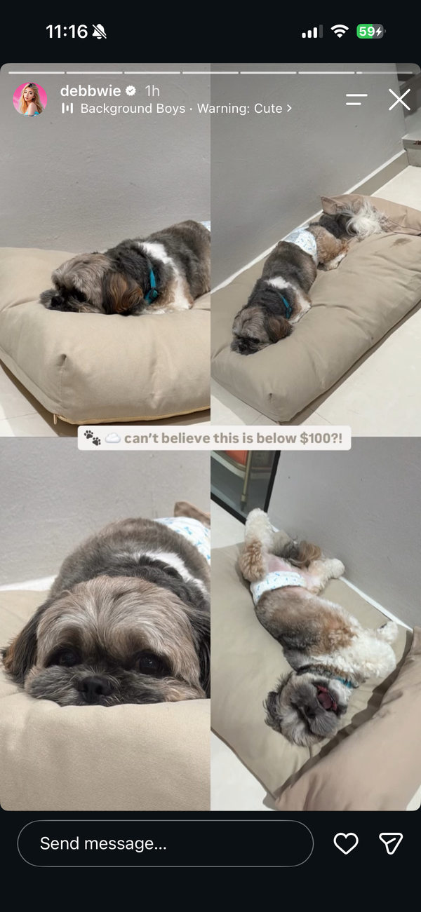 🛏️ The Little Bed — For cats and dogs