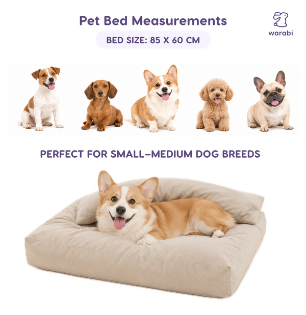 🛏️ The Little Bed — For cats and dogs