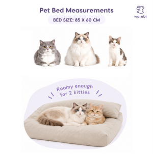 🛏️ The Little Bed — For cats and dogs