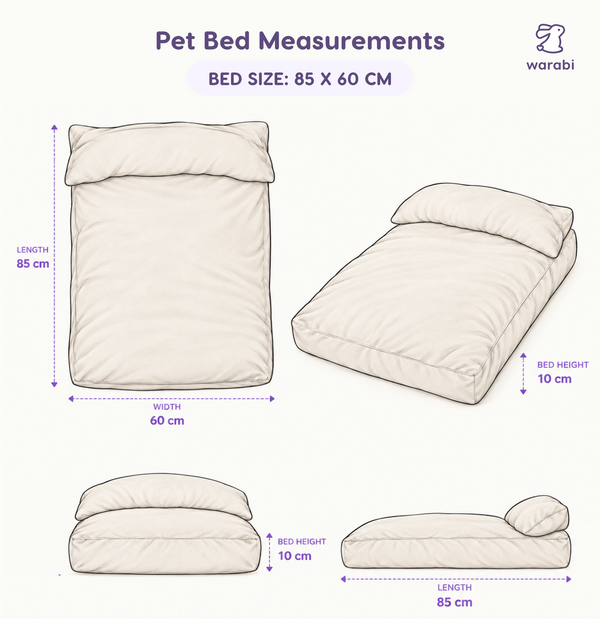 🛏️ The Little Bed — For cats and dogs