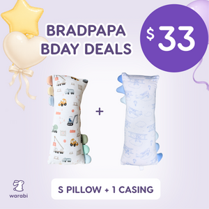 BRADPAPA BDAY 33 DEALS — S Pillow + Casing