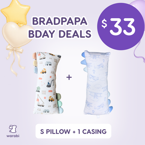 BRADPAPA BDAY 33 DEALS — S Pillow + Casing
