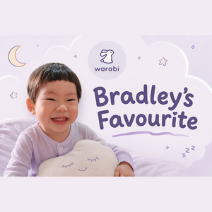 [BRADPAPA] L PILLOW + CASING (20% OFF)
