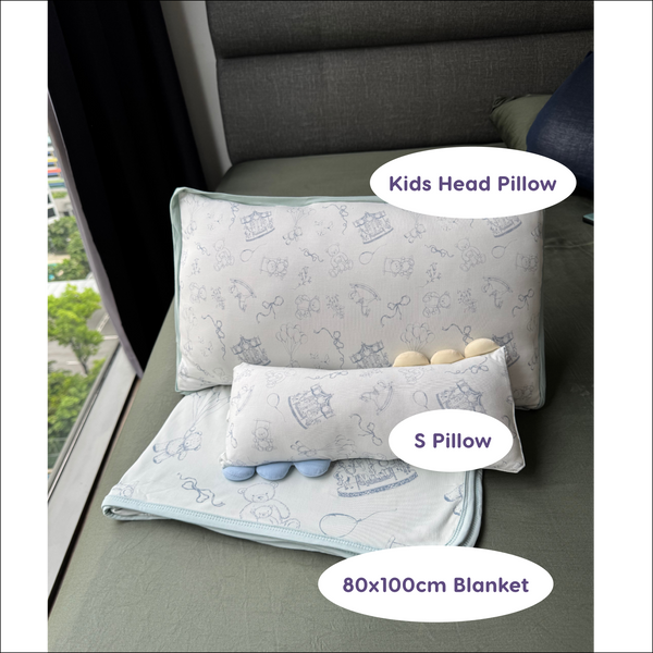 Dreamy Toile (Slate Blue) V2 Snuggle Bamboo Pillow